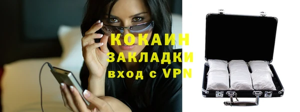 сатива Медногорск
