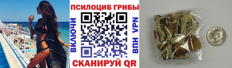 Псилоцибиновые грибы Psilocybe  Шенкурск 