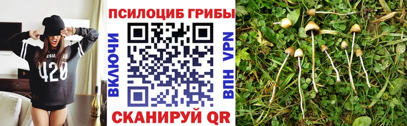 Псилоцибиновые грибы MAGIC MUSHROOMS Шенкурск